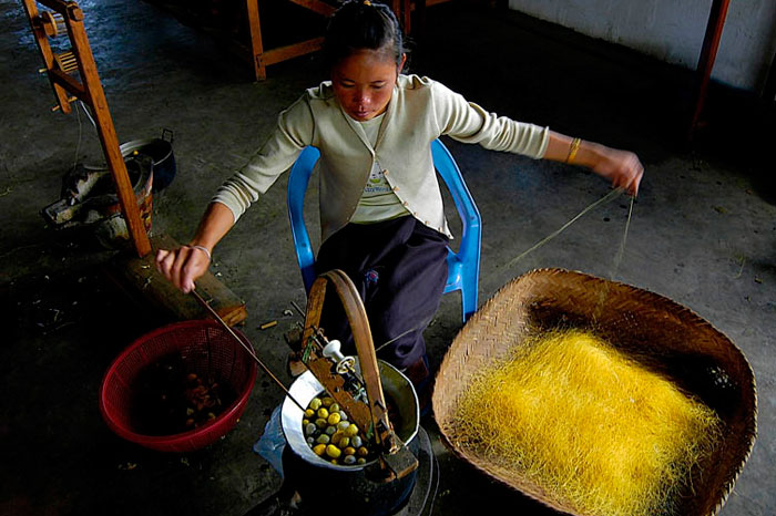 girl spinning silk