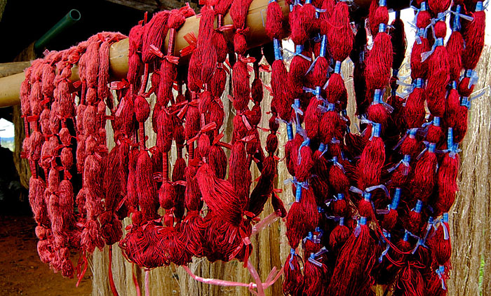 Mulberries natural dyeing of silk