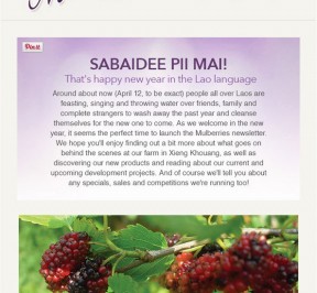 mulberries newsletter 01