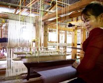 mulberries fair trade silk producer